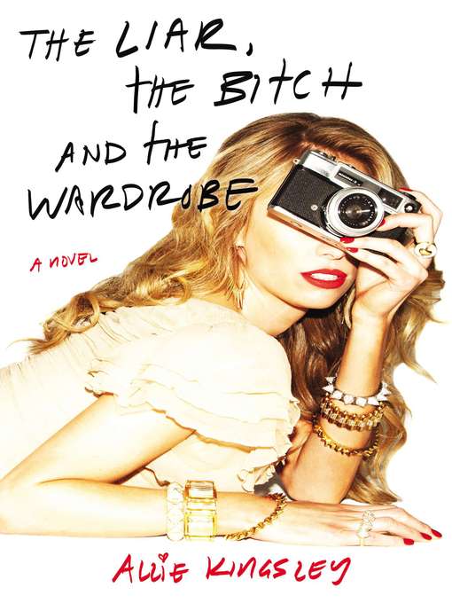 Cover image for The Liar, the Bitch and the Wardrobe